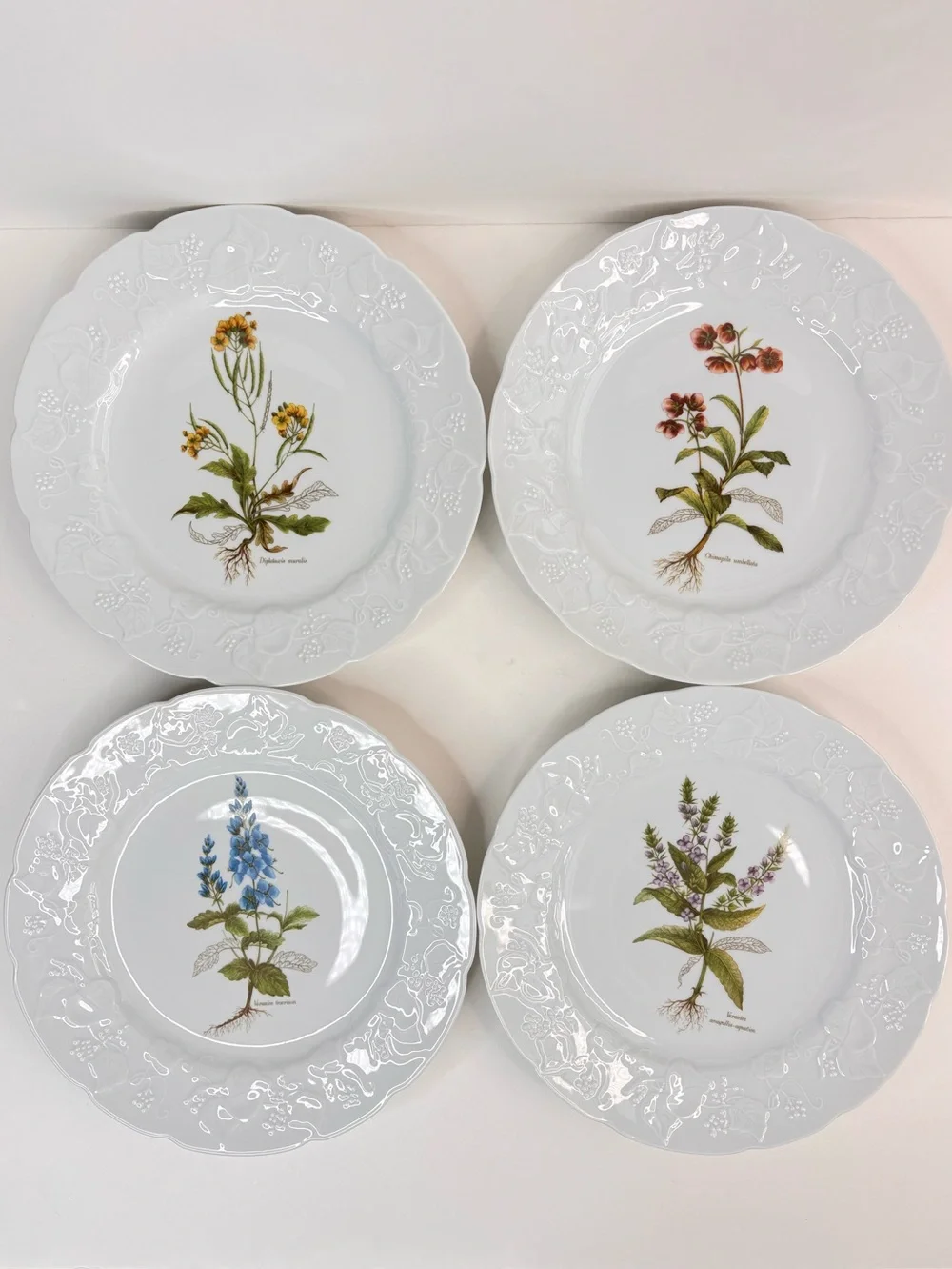 Dansk Ivy Embossed White Porcelain Flower Botanical Luncheon Plates France Set 4